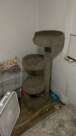 Cat bed