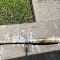 Easton Bat