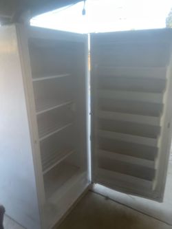 Standing freezer