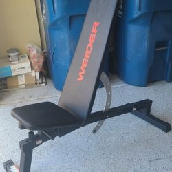 Weight Bench