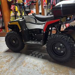 QUAT GAS XW-A19 4 Wheeler for Kids Age 6+, 40CC 4-Stroke Gas...