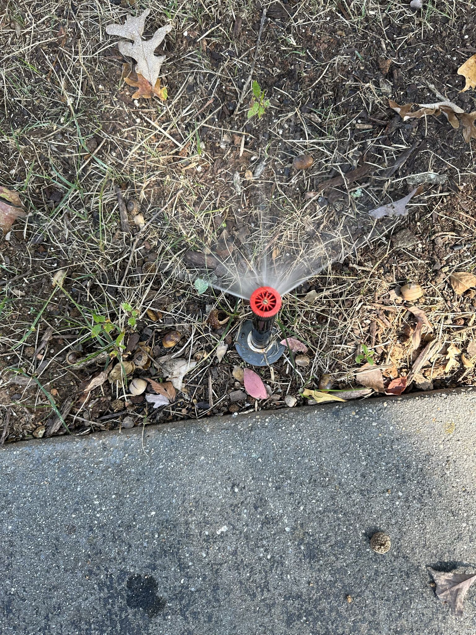 Sprinkler System