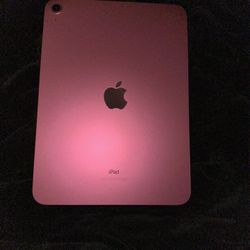 Pink Ipad 10th Generation 