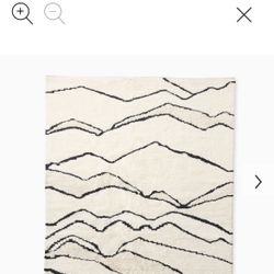 West Elm Wool Rug 5 X 8 ft.