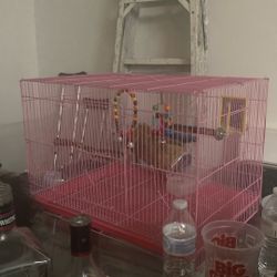 Bird Cage
