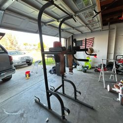Weider Pull Up And Dip Stand 