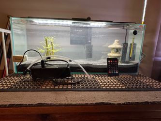 Ready to go complete 6 gallon rimless bookshelf aquarium.