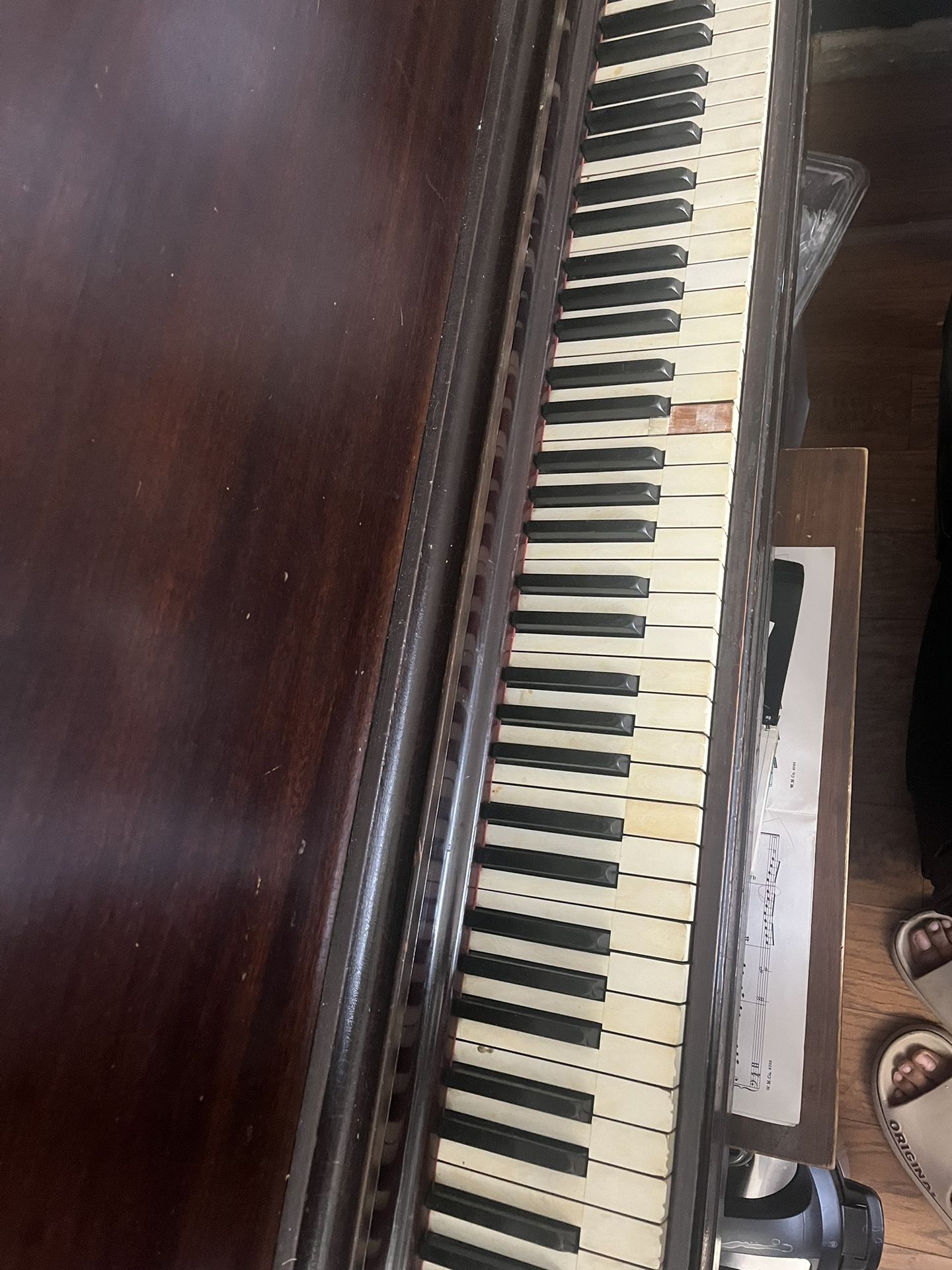 Piano ( Grand Piano)