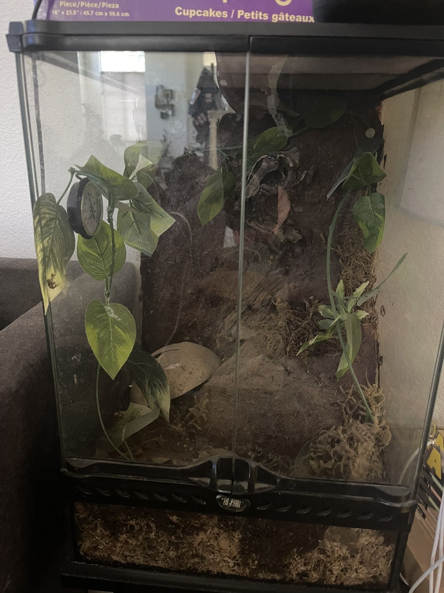 Terrarium