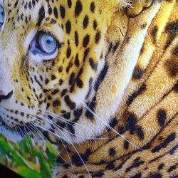 58inch Westinghouse 4k Roku Tv $120 Obo