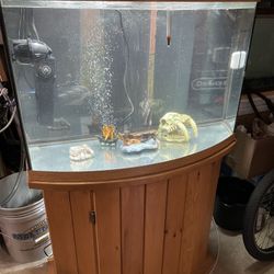36 Gallon Bowfront Aquarium Fish Tank