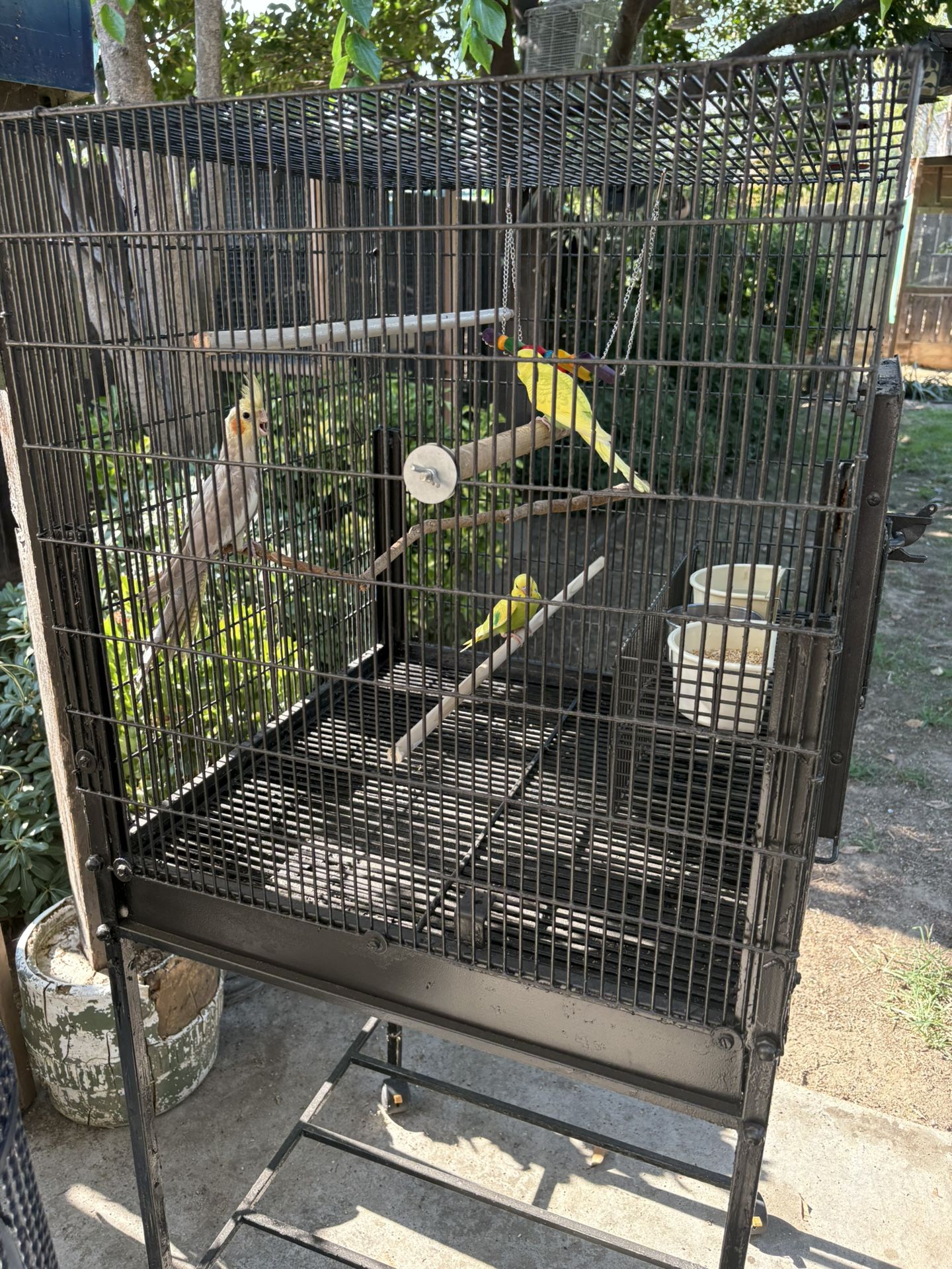Birdcage