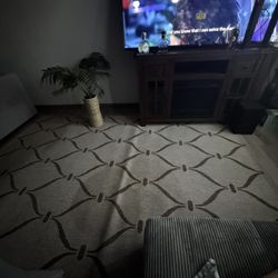New 8x10 Rug