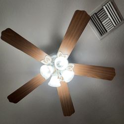 Fan