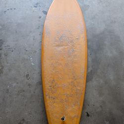 Wisdom Fish Surfboard 5'4