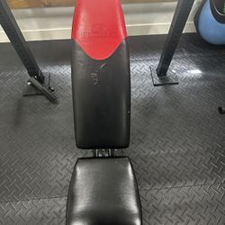 Bowflex Weight Bench