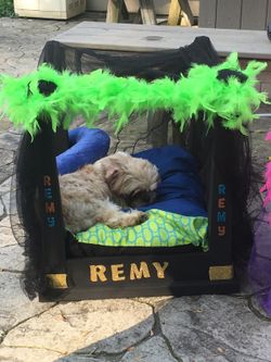 Custom Made dog beds .