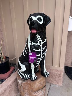 Home Depot black skeleton glow in dark dog Halloween decor for yard hard to find