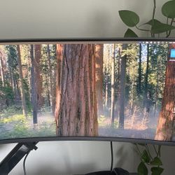 Samsung Curved Business Monitor 34 Inch