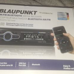 New Blaupunkt Media Player 