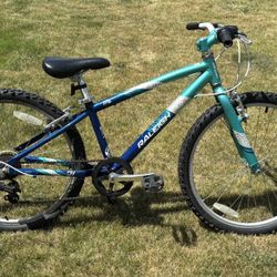 Raleigh Kids Bike