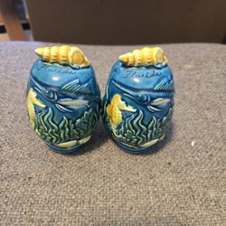 Vintage Florida Salt & Pepper Shakers – Made in Japan – Ocean Design