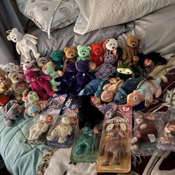 Beanie Baby Collection 