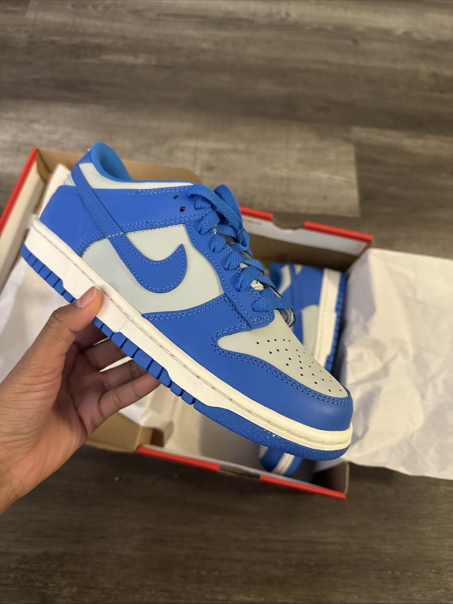 Nike Dunk Low Boys Size 7Y Brand New Fb9109-004