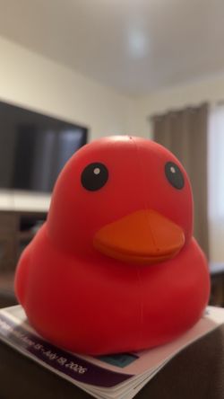 Duck squishy