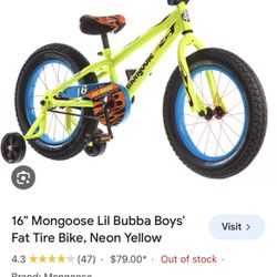 Fat tire kid bike