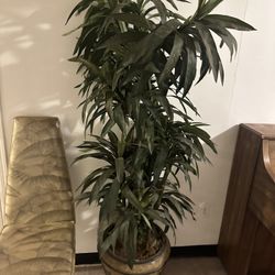 Beautiful Large Artificial Tree 69” Tall