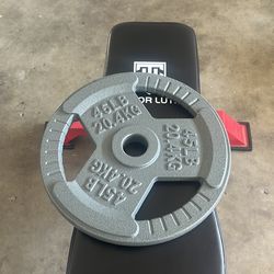 45 Lb Plate