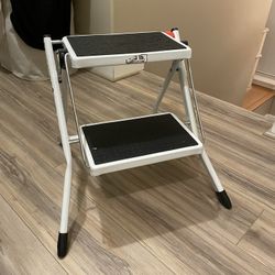 Folding stepstool