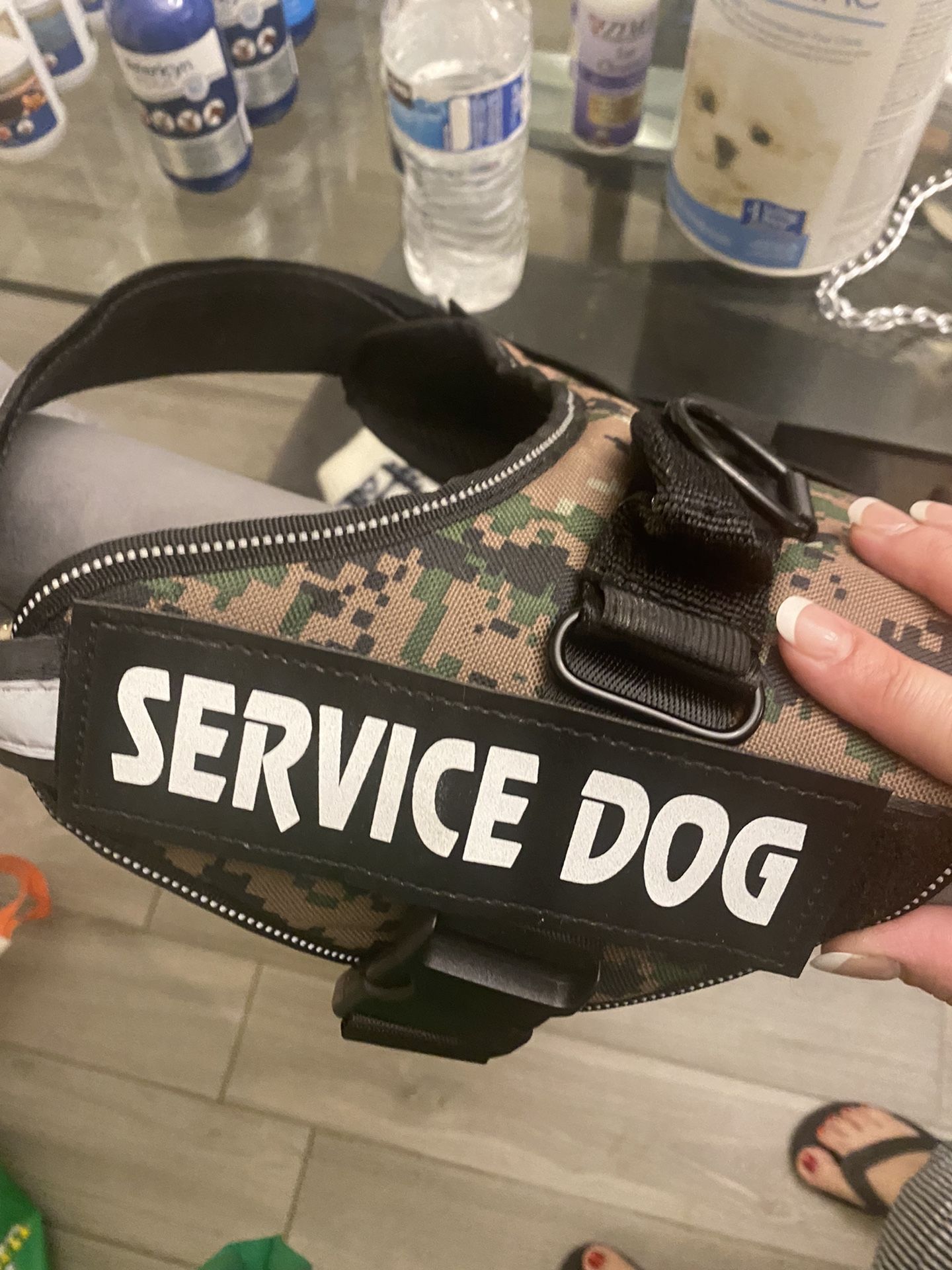 SERVICE DOG HARNESS IN LARGE 