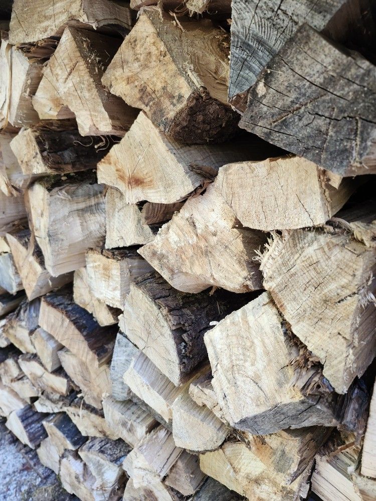 Stack Of Dry Maple Firewood 