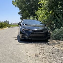 Toyota Corolla Se 2020