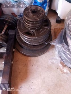 Steel weights, tree, dumbbell, recumbent bike, bosu ball, door way pullup bar