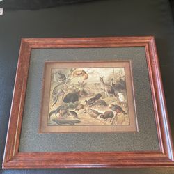 Exotic Animals Picture In Frame