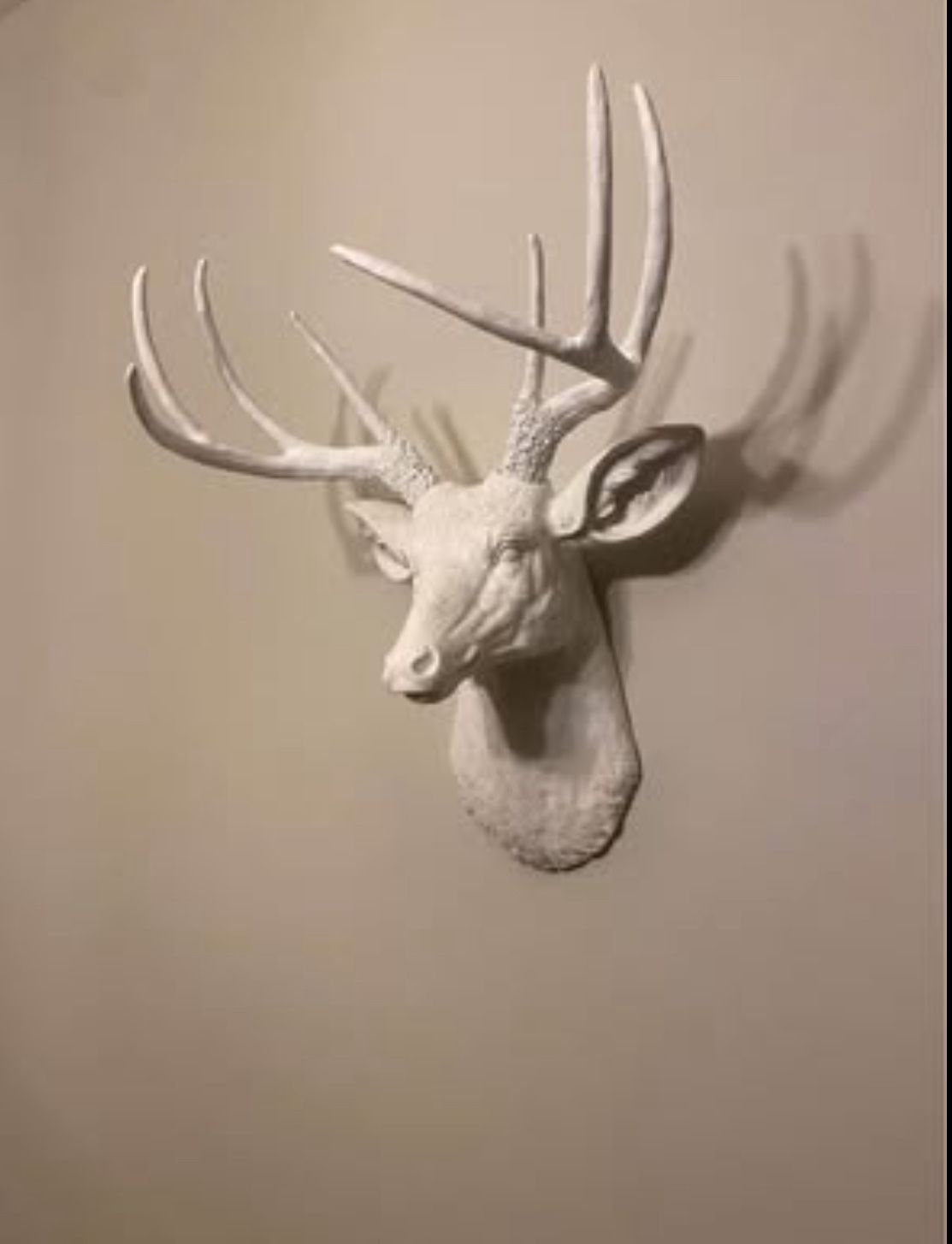Wall Sculpture