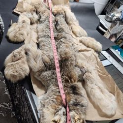 Large Lynx Pelt