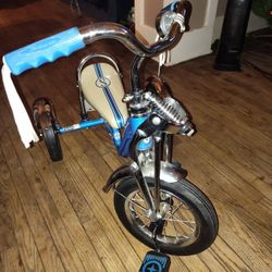 Lil Stingray Tricycle