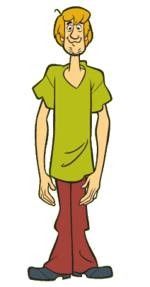Halloween Costume - Shaggy Rogers Scooby Doo