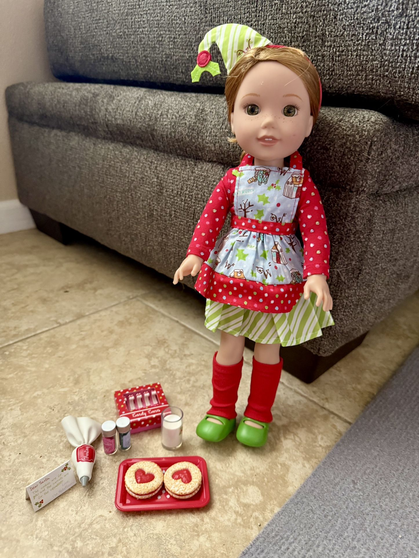 American Girl Doll WellieWisher Willa and clothes