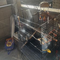 Bird Cage + Toys Included 