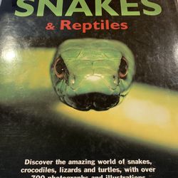 Snakes & Reptiles - Hardcover 2006- Huge. & with great pics , descriptions