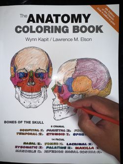anatomy coloring book 