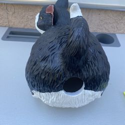 Tissue Dispenser 