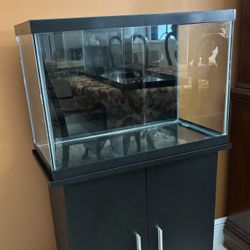 20-Gallon Fish Tank with Black Wood Stand