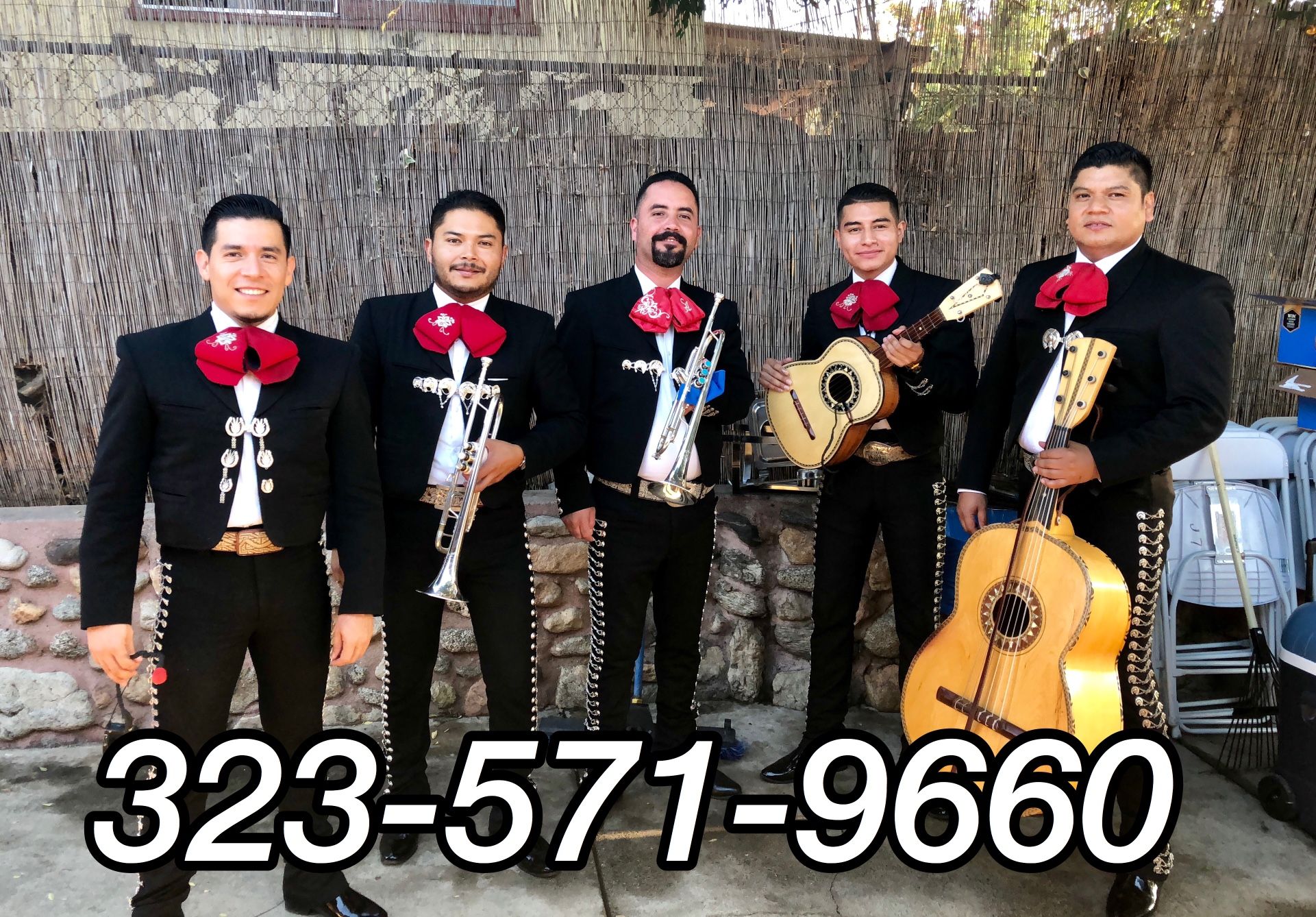 Mariachi Trumpet Violín Guitar
