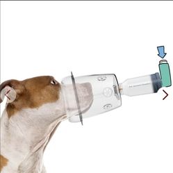 Canine Aerosol Chamber